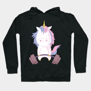 einhorn elfe prinzessin fee meerjungfrau zauberer3 Hoodie